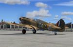 FSX/P3D Curtiss P-40 Warhawk 